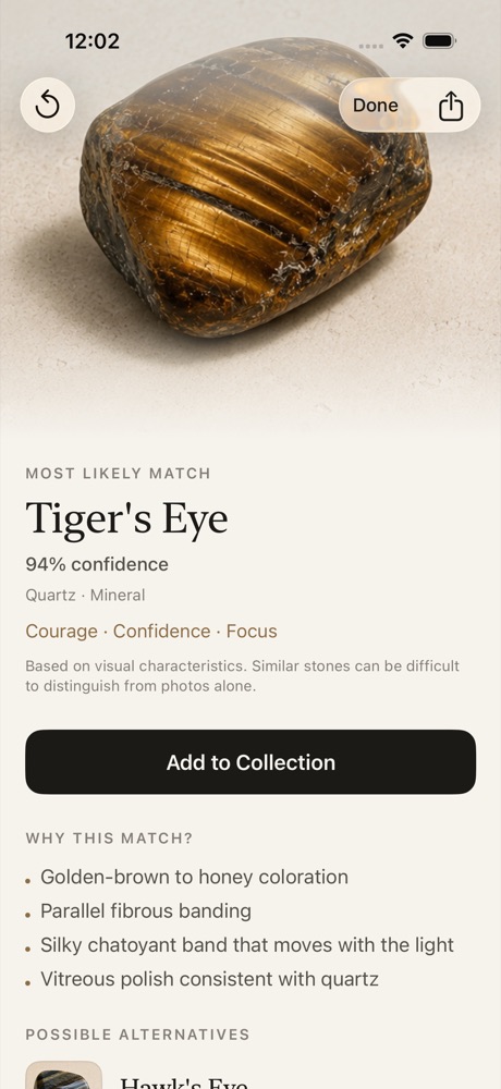 An identification result in LORE, showing Tiger&rsquo;s Eye with its confidence and the traits behind the match